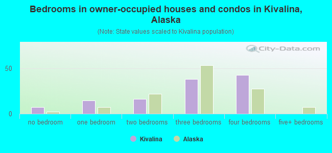 Bedrooms in owner-occupied houses and condos in Kivalina, Alaska