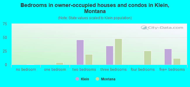 Bedrooms in owner-occupied houses and condos in Klein, Montana