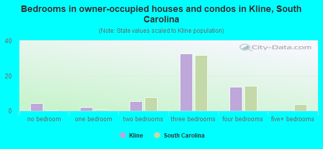 Bedrooms in owner-occupied houses and condos in Kline, South Carolina