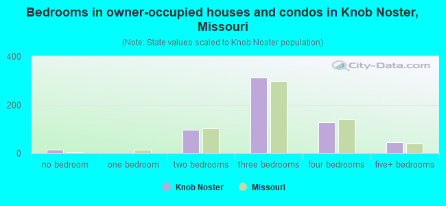 Bedrooms in owner-occupied houses and condos in Knob Noster, Missouri