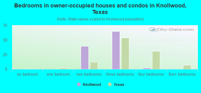 Bedrooms in owner-occupied houses and condos in Knollwood, Texas
