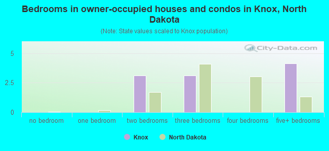Bedrooms in owner-occupied houses and condos in Knox, North Dakota