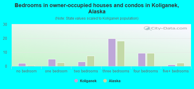Bedrooms in owner-occupied houses and condos in Koliganek, Alaska