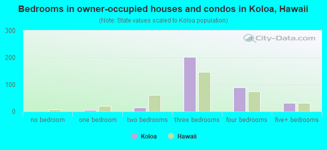 Bedrooms in owner-occupied houses and condos in Koloa, Hawaii