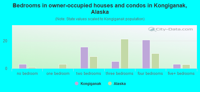 Bedrooms in owner-occupied houses and condos in Kongiganak, Alaska