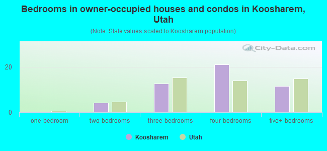 Bedrooms in owner-occupied houses and condos in Koosharem, Utah