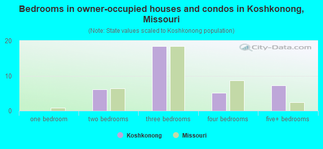 Bedrooms in owner-occupied houses and condos in Koshkonong, Missouri