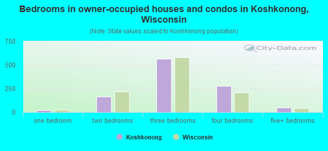 Bedrooms in owner-occupied houses and condos in Koshkonong, Wisconsin