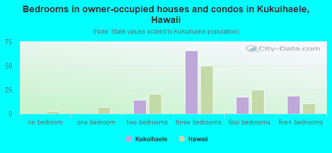 Bedrooms in owner-occupied houses and condos in Kukuihaele, Hawaii