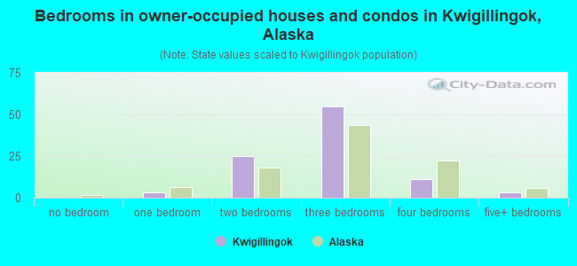 Bedrooms in owner-occupied houses and condos in Kwigillingok, Alaska