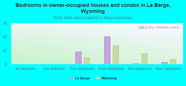 Bedrooms in owner-occupied houses and condos in La Barge, Wyoming