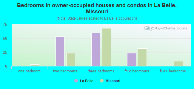 Bedrooms in owner-occupied houses and condos in La Belle, Missouri