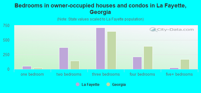 Bedrooms in owner-occupied houses and condos in La Fayette, Georgia