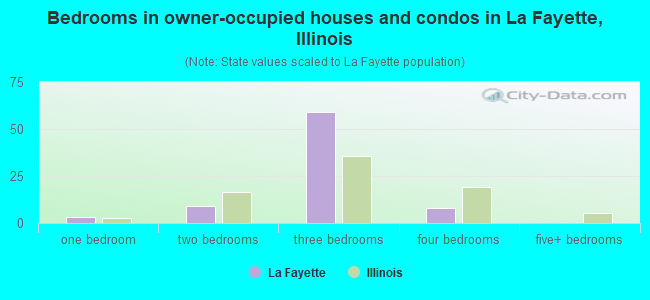 Bedrooms in owner-occupied houses and condos in La Fayette, Illinois