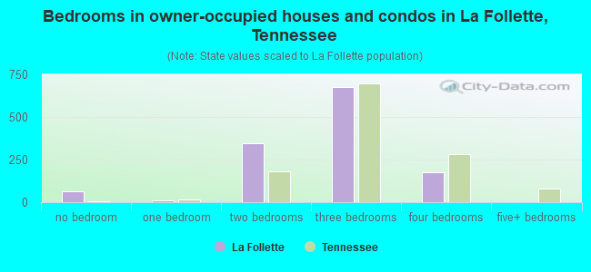 Bedrooms in owner-occupied houses and condos in La Follette, Tennessee