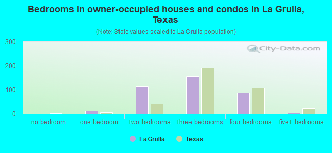 Bedrooms in owner-occupied houses and condos in La Grulla, Texas