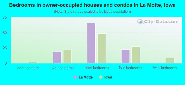 Bedrooms in owner-occupied houses and condos in La Motte, Iowa