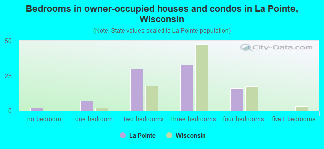 Bedrooms in owner-occupied houses and condos in La Pointe, Wisconsin
