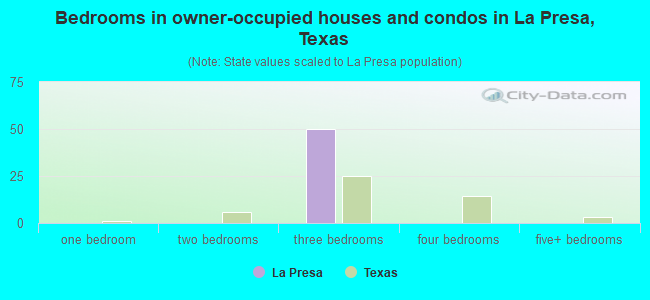 Bedrooms in owner-occupied houses and condos in La Presa, Texas