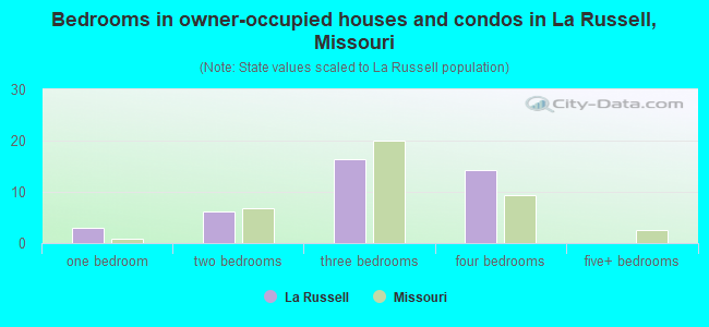Bedrooms in owner-occupied houses and condos in La Russell, Missouri