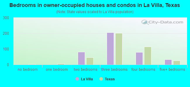 Bedrooms in owner-occupied houses and condos in La Villa, Texas