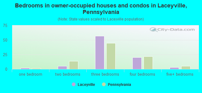 Bedrooms in owner-occupied houses and condos in Laceyville, Pennsylvania