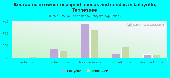 Bedrooms in owner-occupied houses and condos in Lafayette, Tennessee