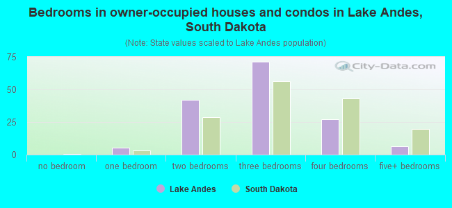 Bedrooms in owner-occupied houses and condos in Lake Andes, South Dakota