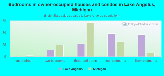 Bedrooms in owner-occupied houses and condos in Lake Angelus, Michigan