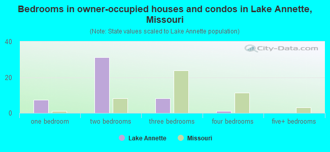 Bedrooms in owner-occupied houses and condos in Lake Annette, Missouri