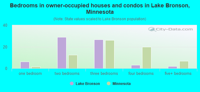 Bedrooms in owner-occupied houses and condos in Lake Bronson, Minnesota