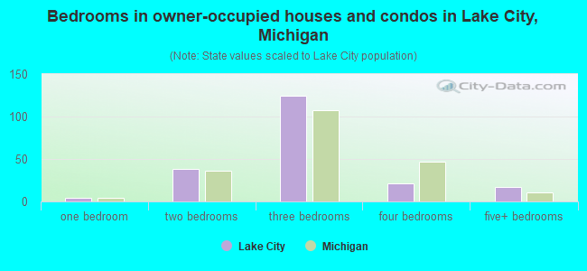 Bedrooms in owner-occupied houses and condos in Lake City, Michigan