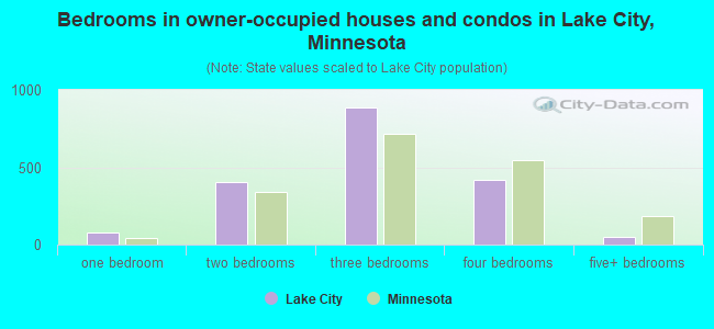 Bedrooms in owner-occupied houses and condos in Lake City, Minnesota