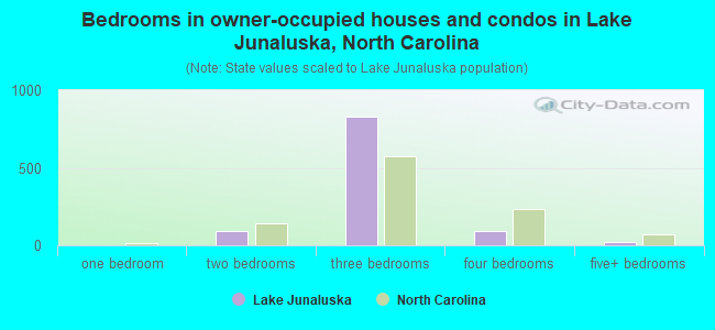 Bedrooms in owner-occupied houses and condos in Lake Junaluska, North Carolina