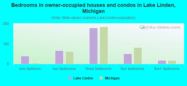 Bedrooms in owner-occupied houses and condos in Lake Linden, Michigan