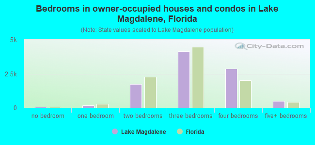 Bedrooms in owner-occupied houses and condos in Lake Magdalene, Florida