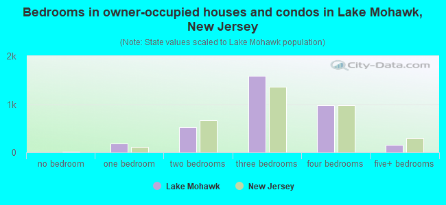 Bedrooms in owner-occupied houses and condos in Lake Mohawk, New Jersey