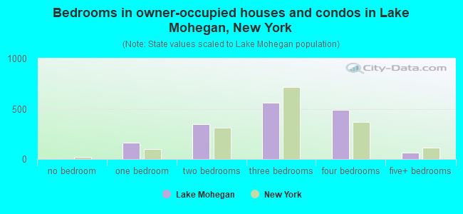 Bedrooms in owner-occupied houses and condos in Lake Mohegan, New York