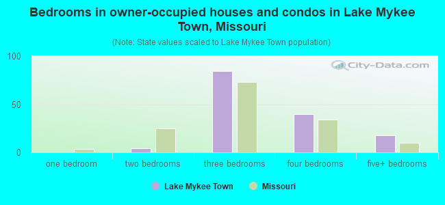 Bedrooms in owner-occupied houses and condos in Lake Mykee Town, Missouri