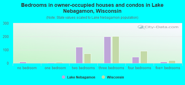 Bedrooms in owner-occupied houses and condos in Lake Nebagamon, Wisconsin