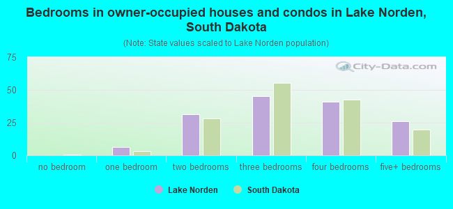 Bedrooms in owner-occupied houses and condos in Lake Norden, South Dakota