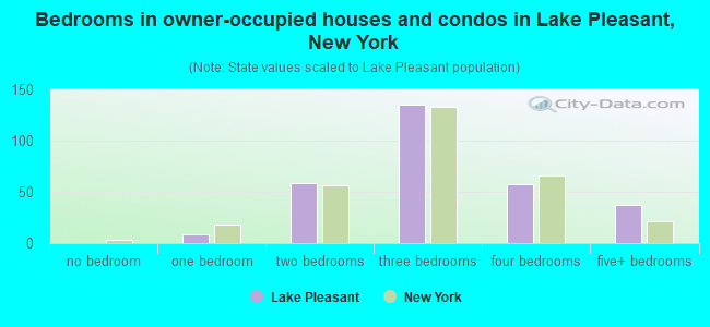 Bedrooms in owner-occupied houses and condos in Lake Pleasant, New York