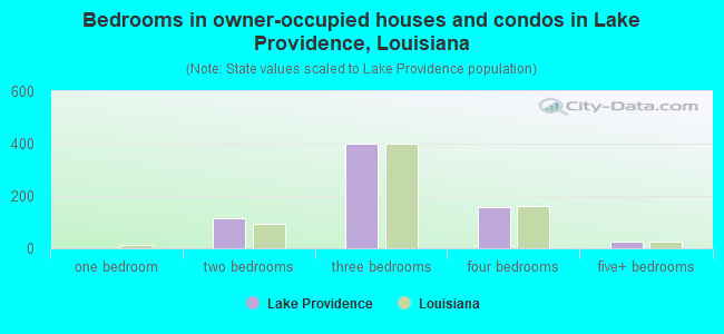 Bedrooms in owner-occupied houses and condos in Lake Providence, Louisiana