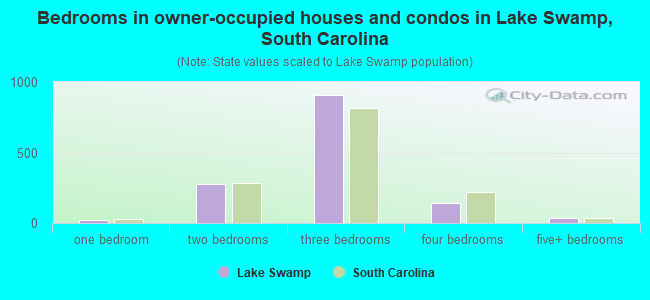 Bedrooms in owner-occupied houses and condos in Lake Swamp, South Carolina