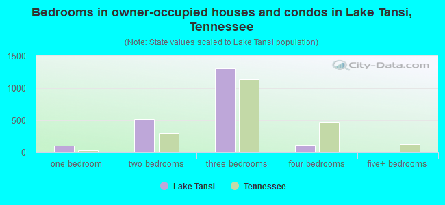 Bedrooms in owner-occupied houses and condos in Lake Tansi, Tennessee