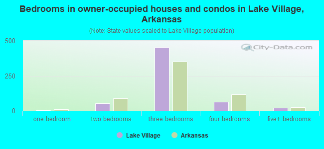 Bedrooms in owner-occupied houses and condos in Lake Village, Arkansas