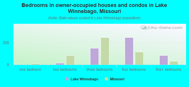Bedrooms in owner-occupied houses and condos in Lake Winnebago, Missouri