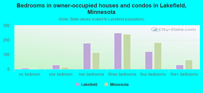 Bedrooms in owner-occupied houses and condos in Lakefield, Minnesota