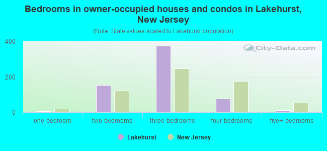 Bedrooms in owner-occupied houses and condos in Lakehurst, New Jersey
