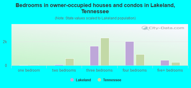Bedrooms in owner-occupied houses and condos in Lakeland, Tennessee
